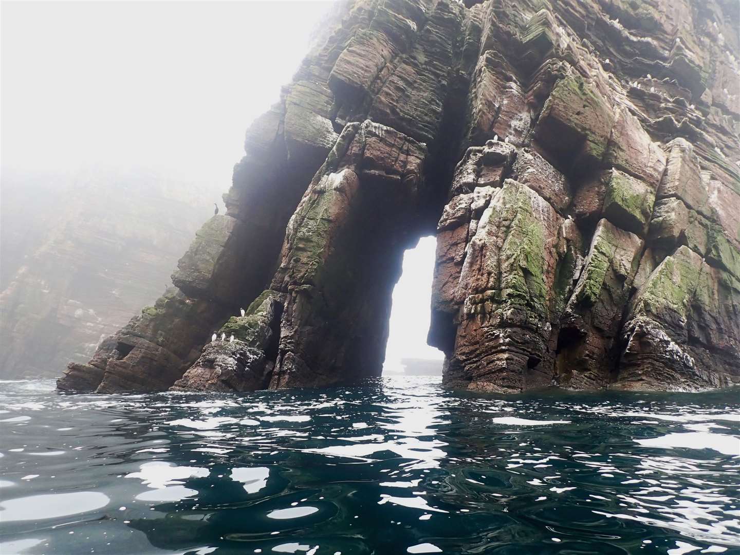 Easter Clett, a sea-tunnelled stack in a bay of kittiwake and guillemot cliffs.