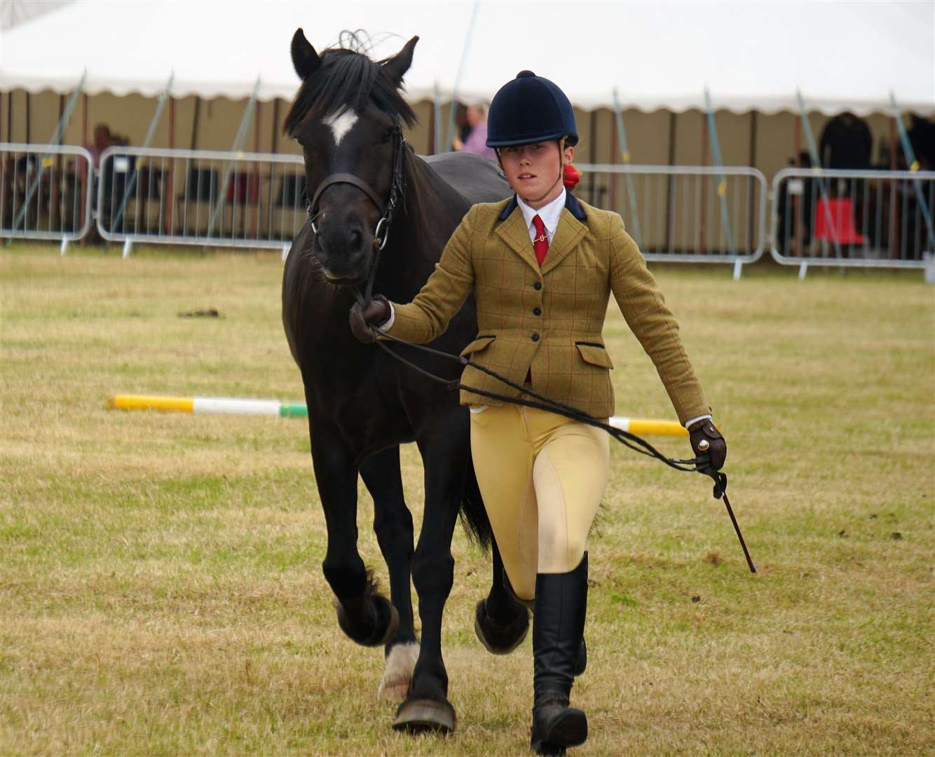 County Show 2022. Picture: DGS