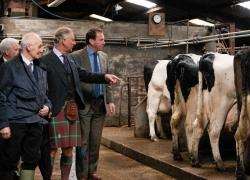 The Duke of Rothesay with farmer Dennis Nicolson (left) and NHI chairman David Whiteford in the milk parlour at Sibster.