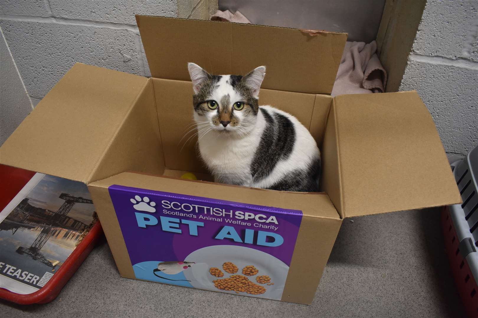 The Scottish SPCA is looking for more donations to its Pet Aid service.