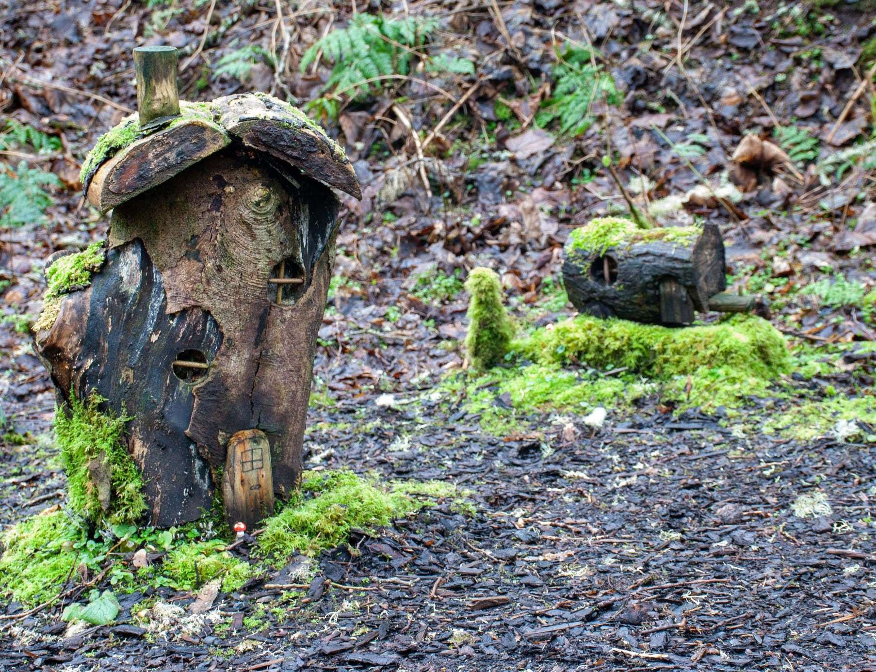 Image by Jean Mackay of The Fairy Houses at Latheron.