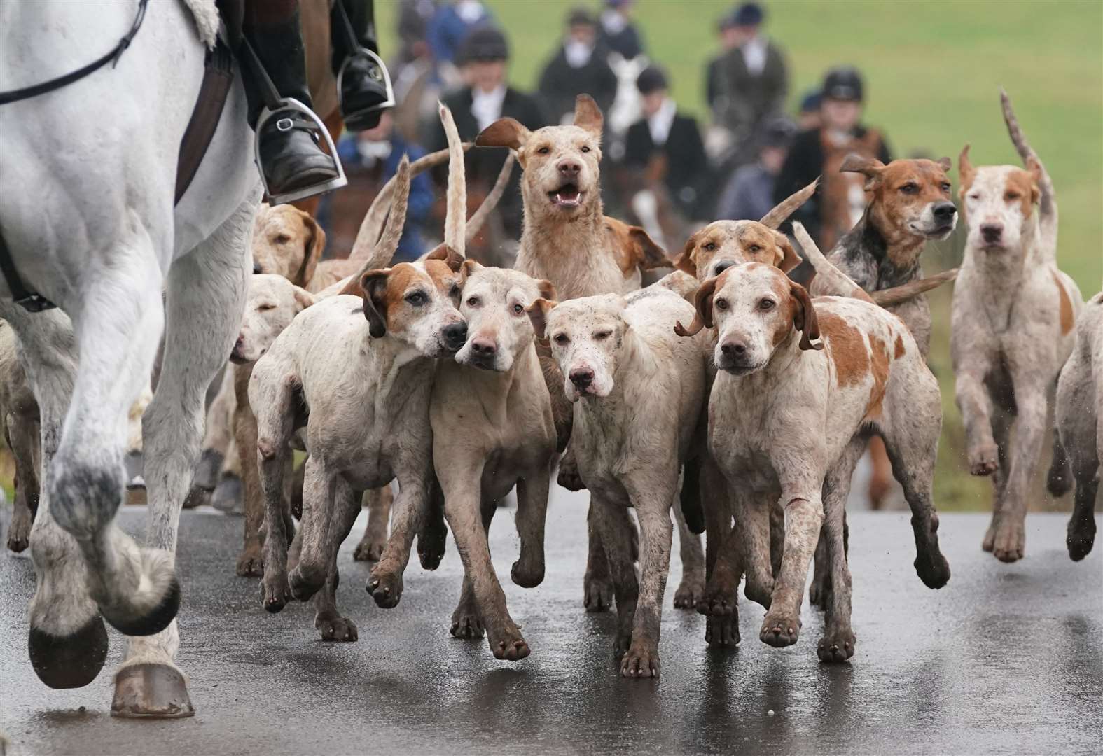 Riders and hounds as they take part in a Boxing Day hunt (PA)