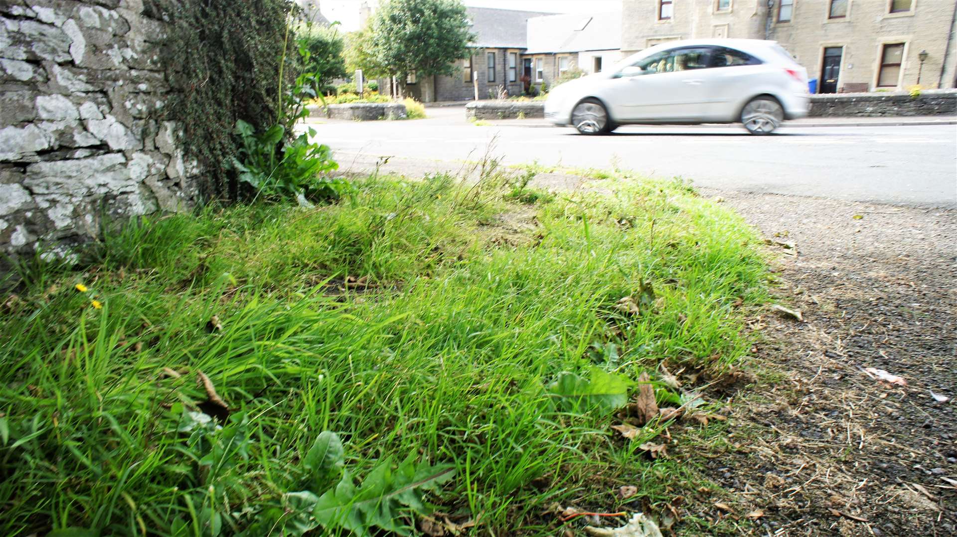 A large area of grass at corner of Hill Avenue in Wick.