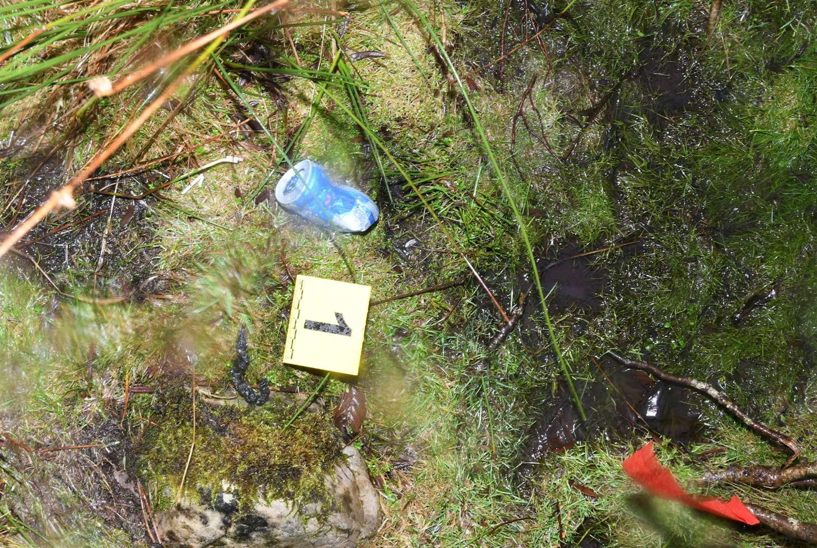 A can of Red Bull was left to mark the scene where the body was buried (Crown Office/PA)