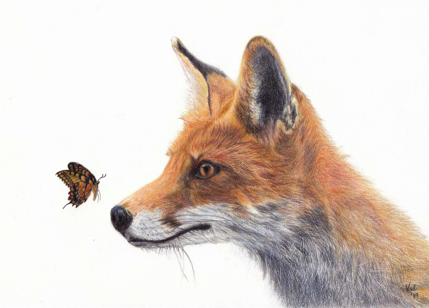 Valerie Mackenzie – Fox and Butterfly.