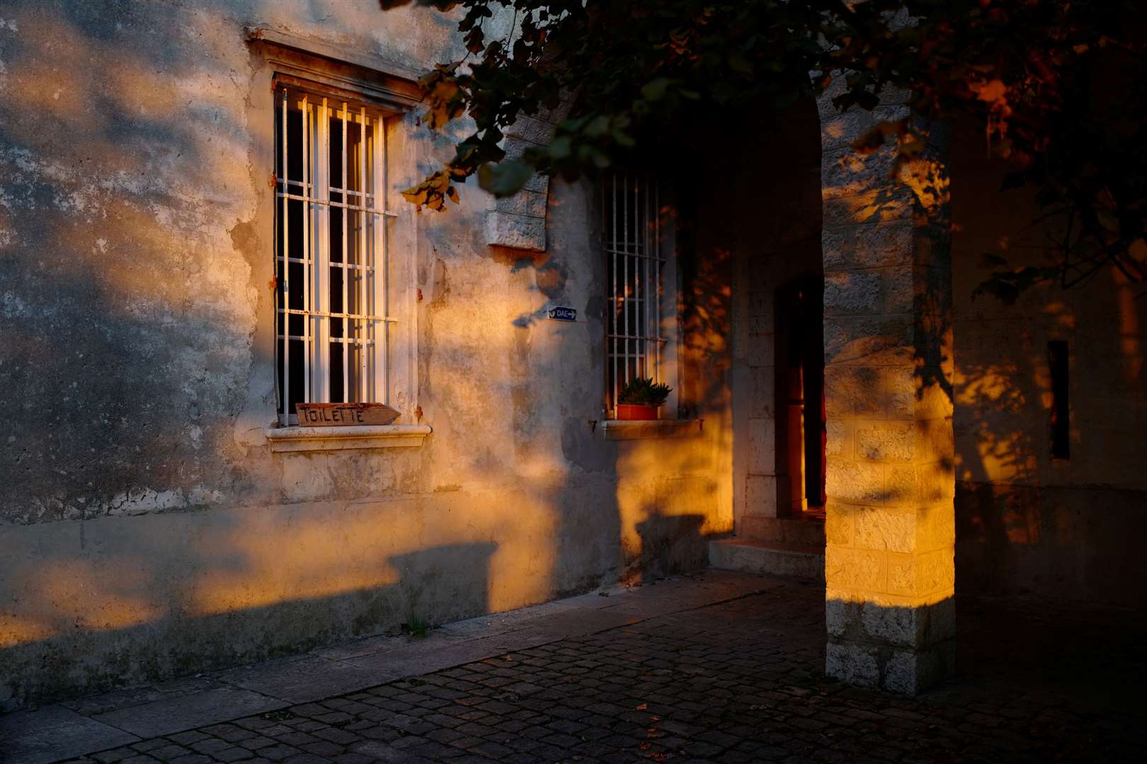 The south of France has its own special light, according to Monique Sliedrecht.