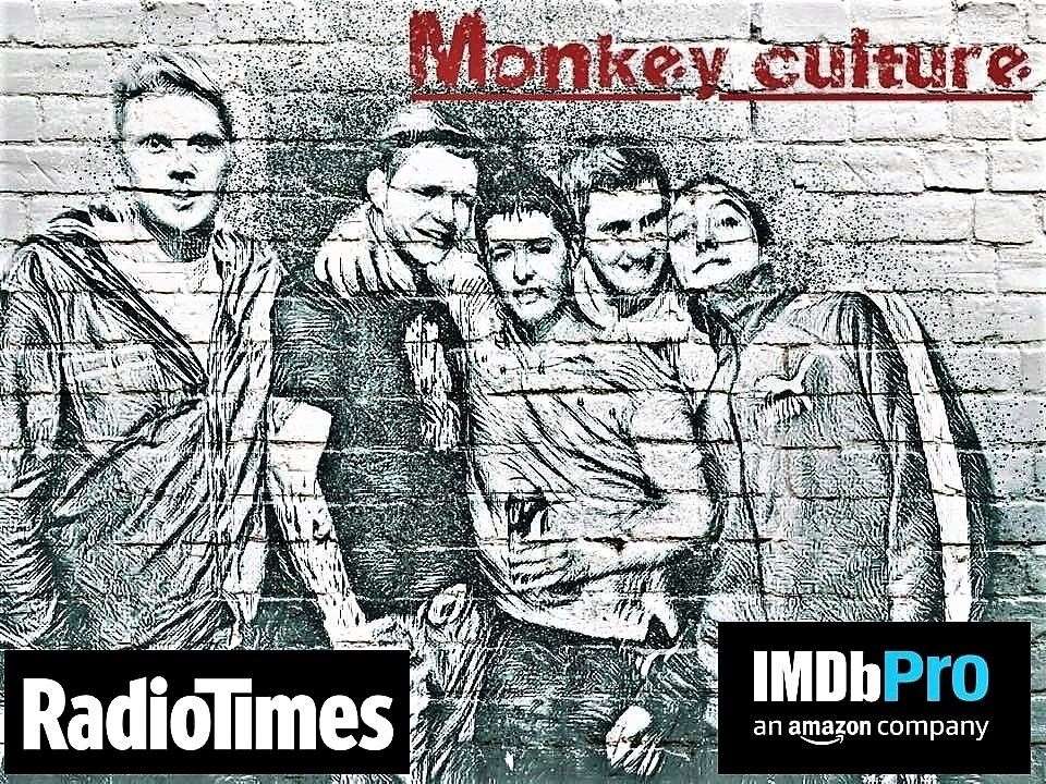Publicity still for Sean Begg's reflective documentary called Monkey Culture.