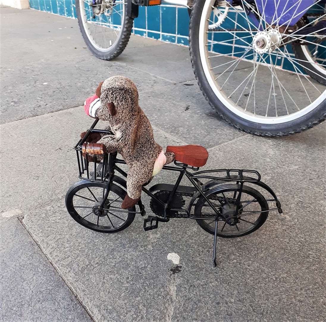 Alexander Glasgow's little friend, Cheeks the Baboon, takes to his own bike.
