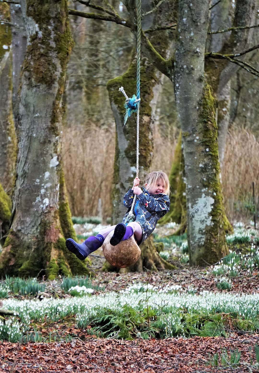 Snowdrop Day included various fun activities for children. Picture: DGS