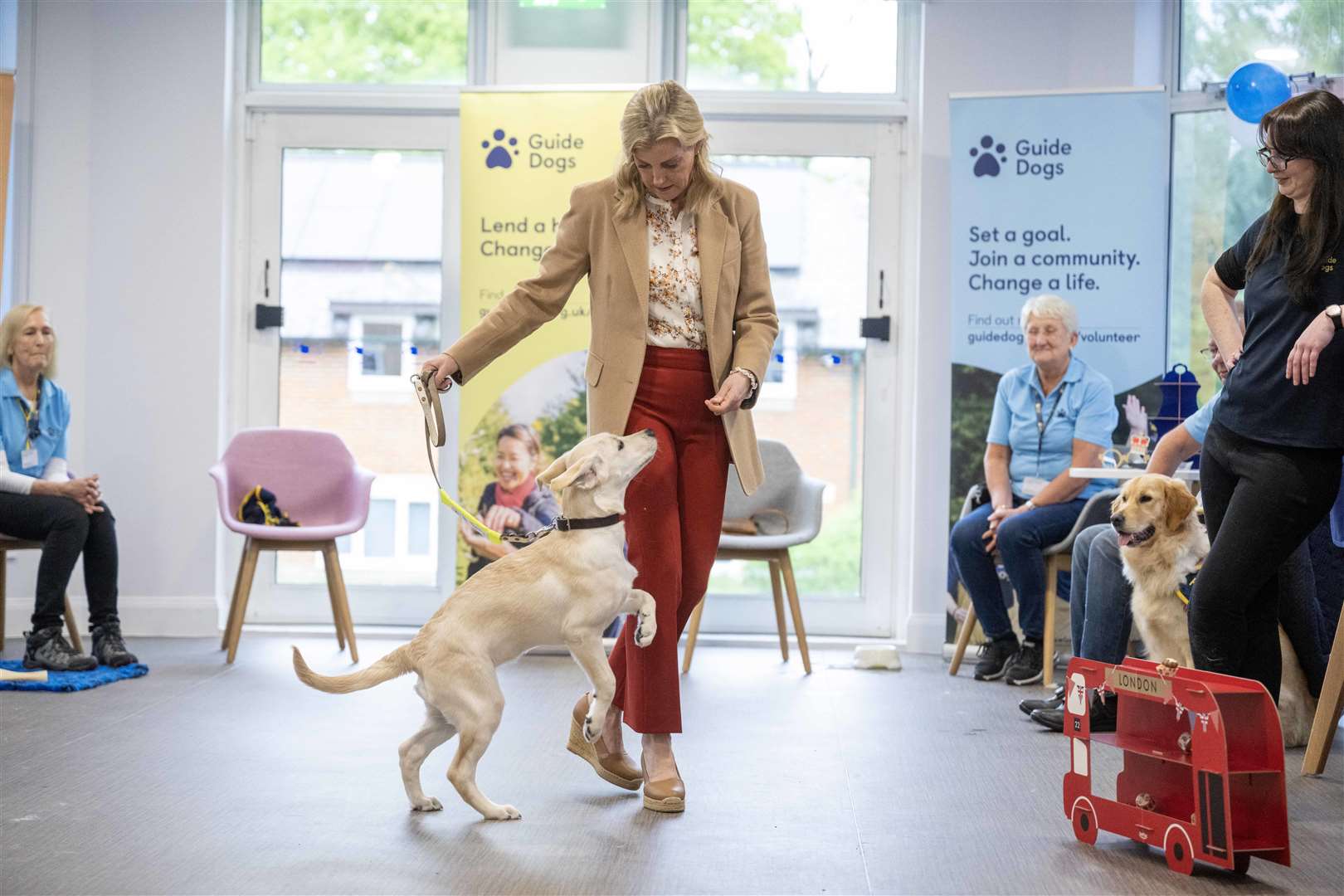 The Duchess of Edinburgh takes part in a puppy class at the Guide Dogs for the Blind Association Training Centre in Reading (Paul Grover/Daily Telegraph/PA)