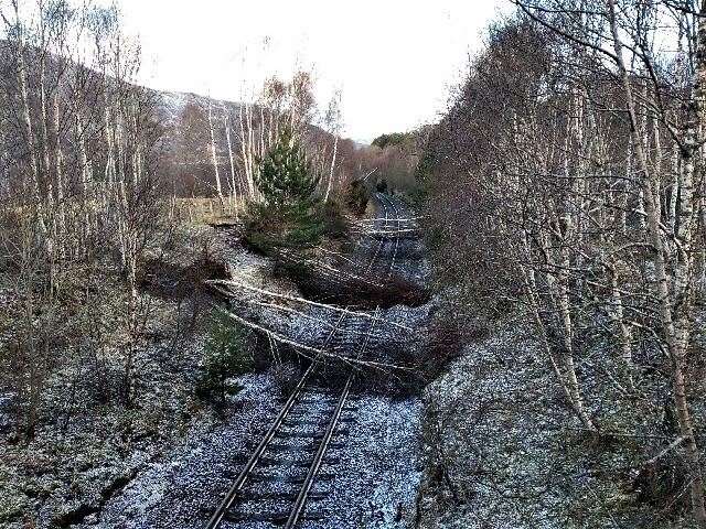 Image posted on Twitter by Scotrail showing trees felled on the far north line near Evanton.