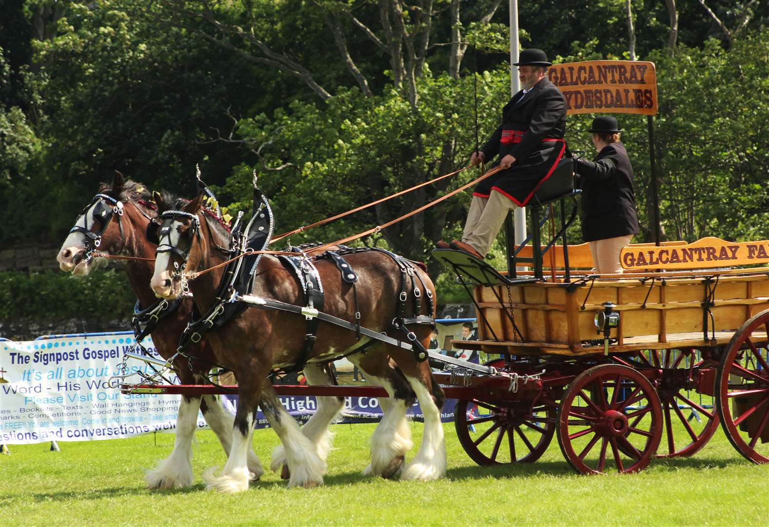 Galcantray Clydesdales from Cawdor gave a display in the main ring. Picture: Alan Hendry