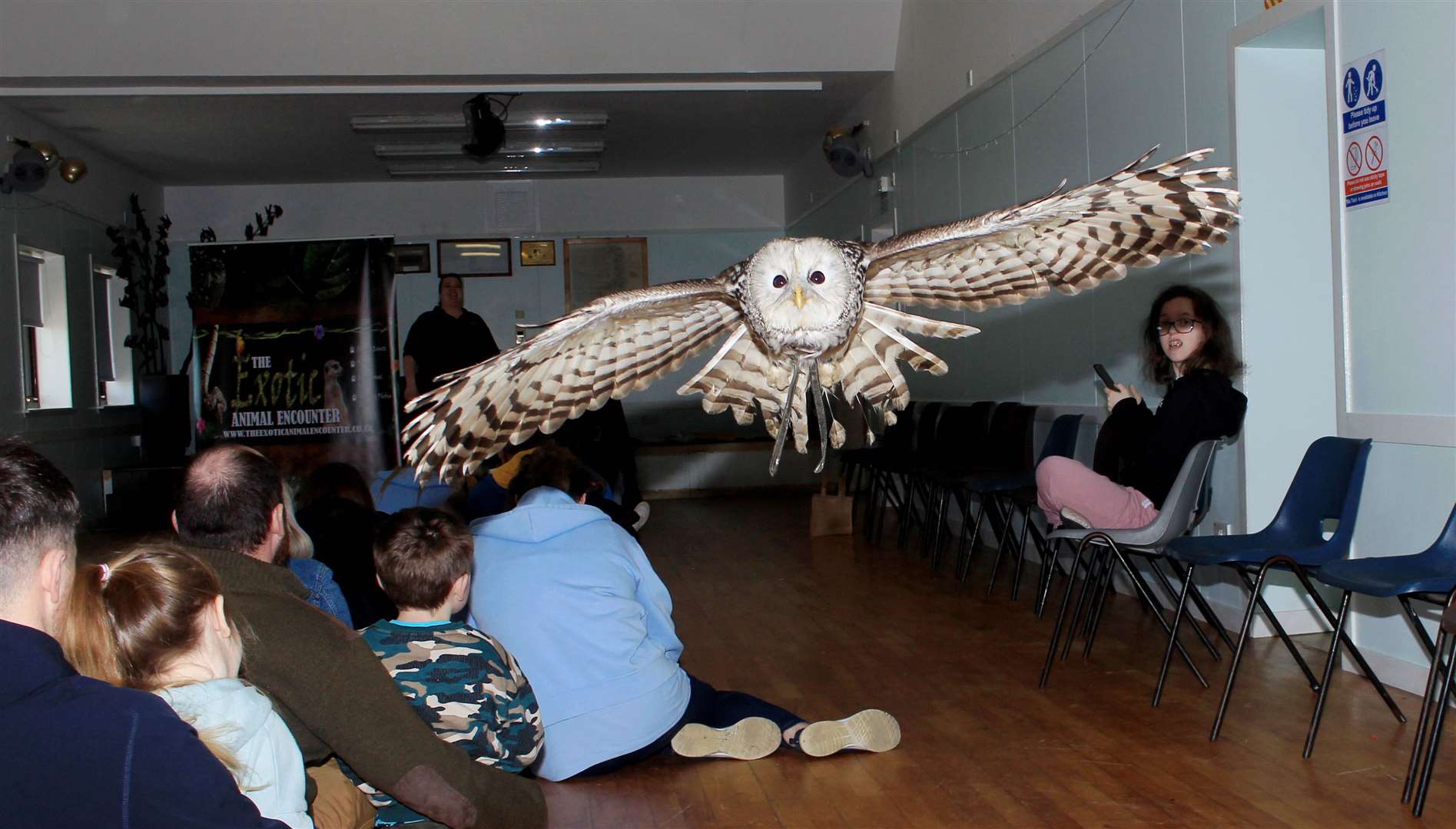 Vesper the Ural owl in mid-flight in Staxigoe hall. Picture: Alan Hendry