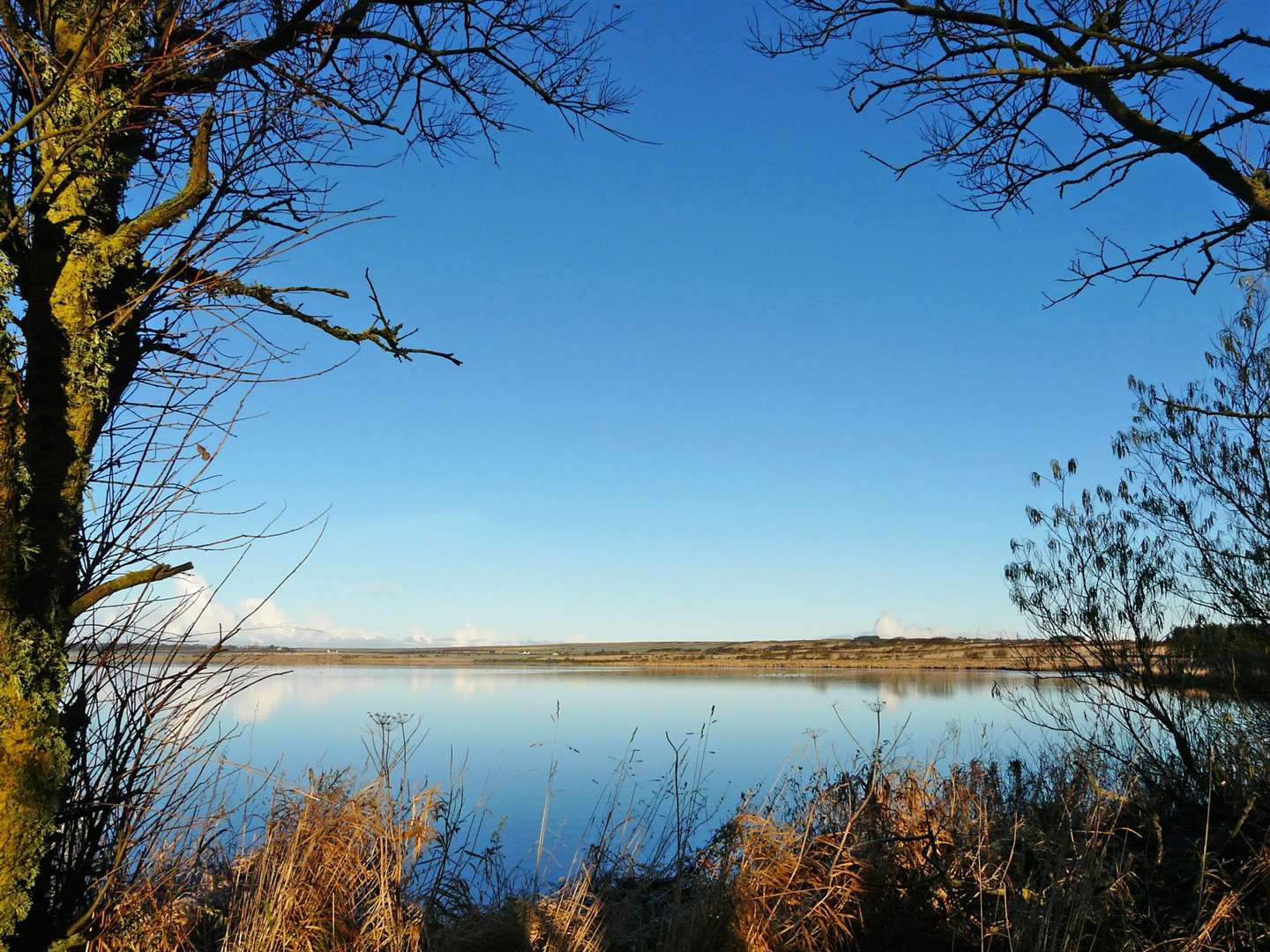 Notices will be put up at Loch Watten to warn of the potential dangers. Picture: Alan Hendry