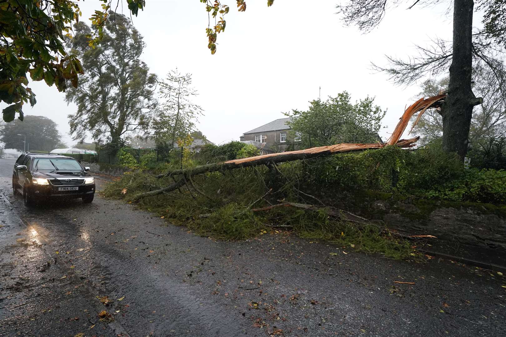 A fallen tree in Brechin (Credit: Andrew Milligan/ PA)