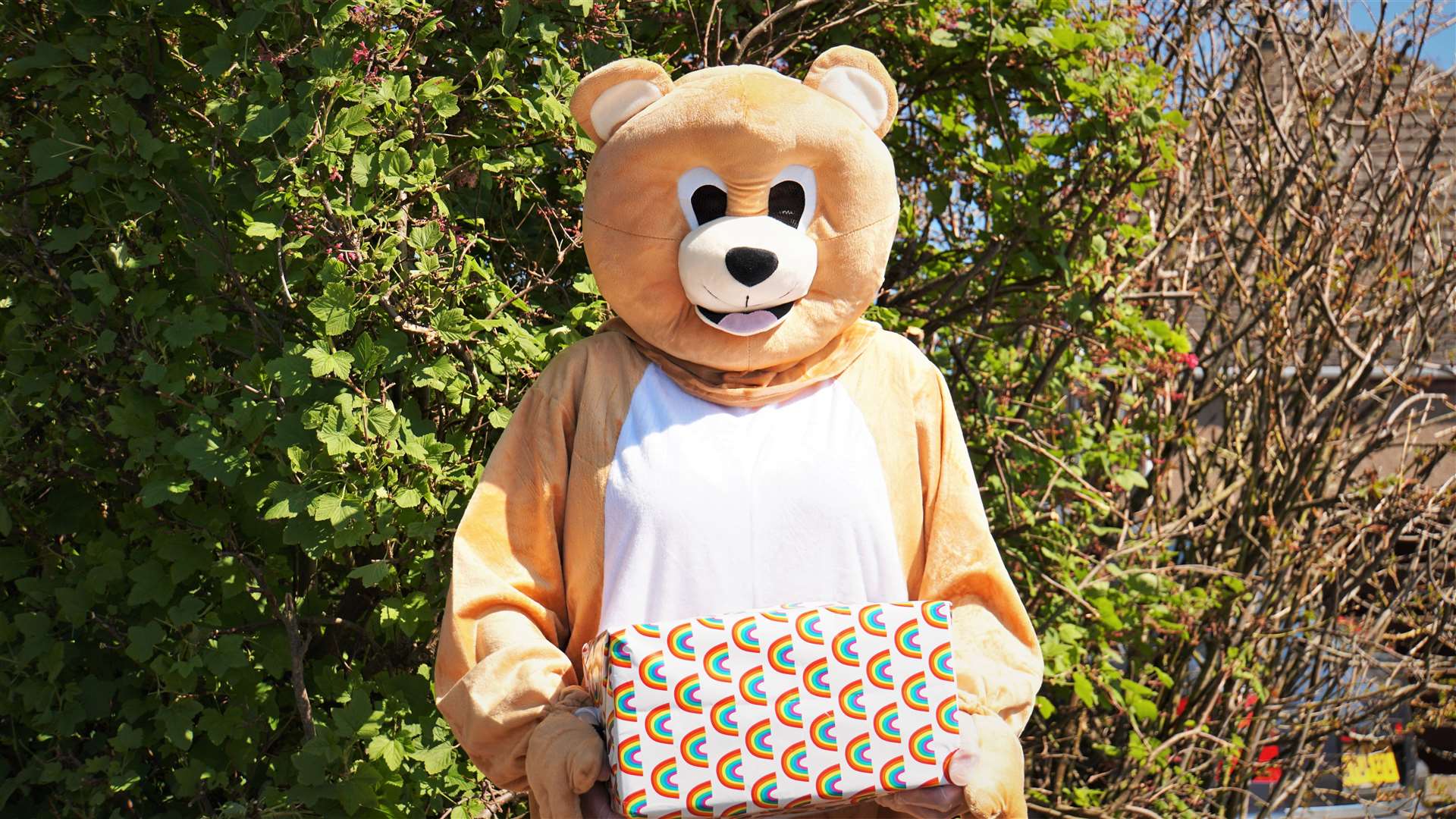 The Community Integrated Care bear had 10 deliveries to make to her clients across Caithness this week. Pictures: DGS