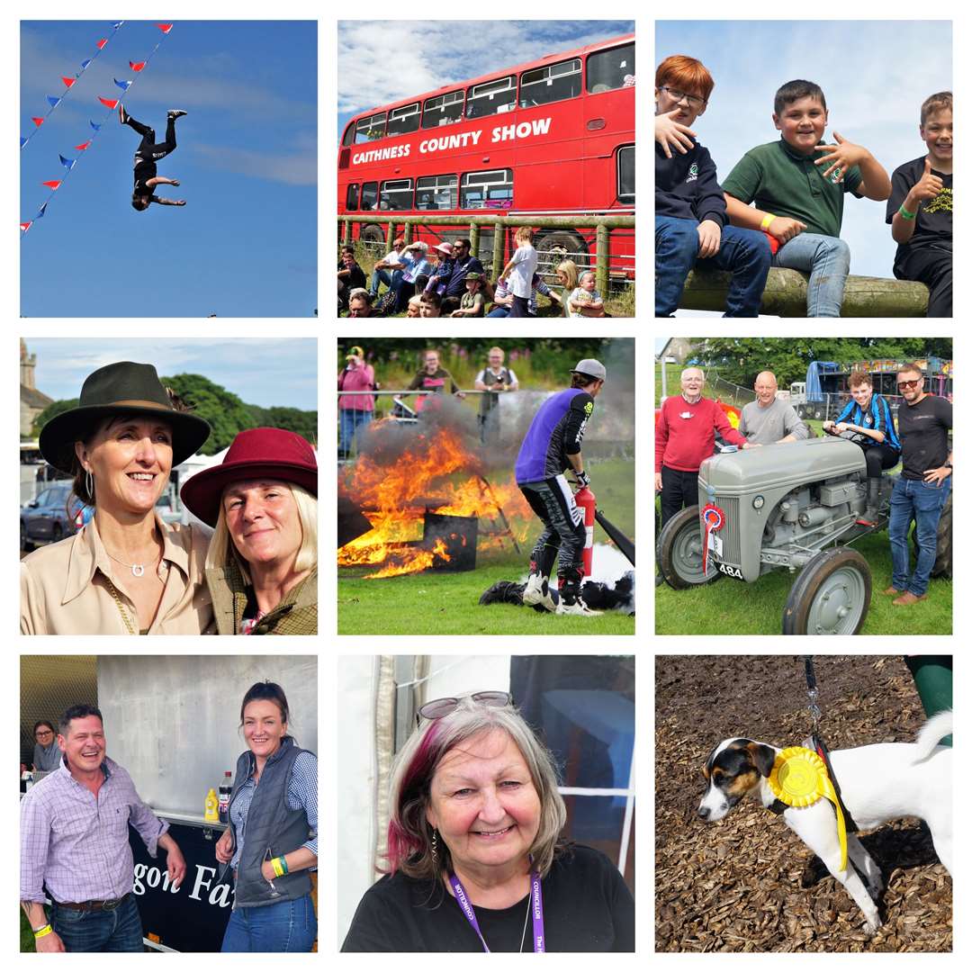 County Show collage with just some of the events and characters of the day. Pictures: DGS