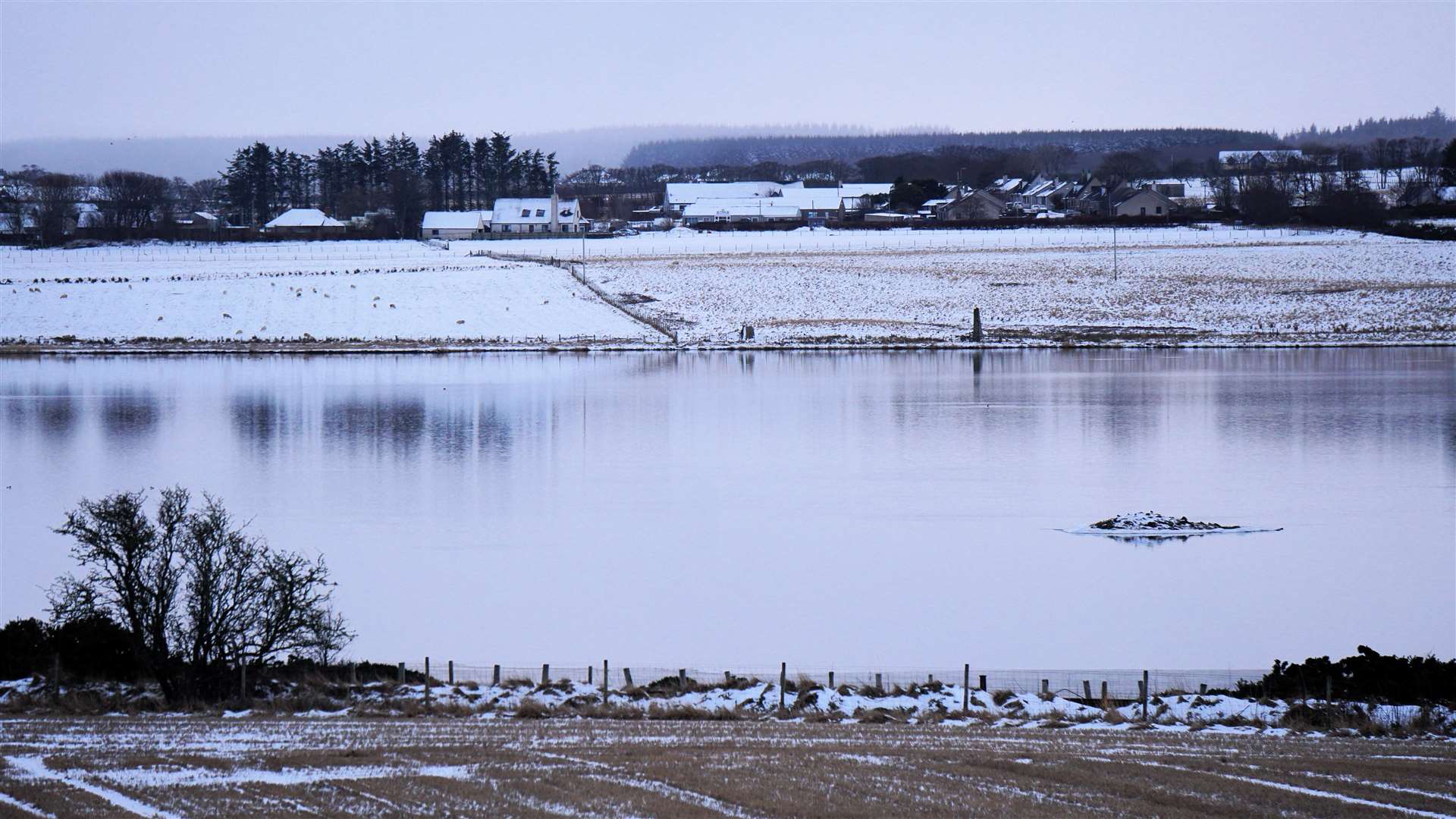 Snowscape at Watten loch, February 8, 2024. Picture: DGS