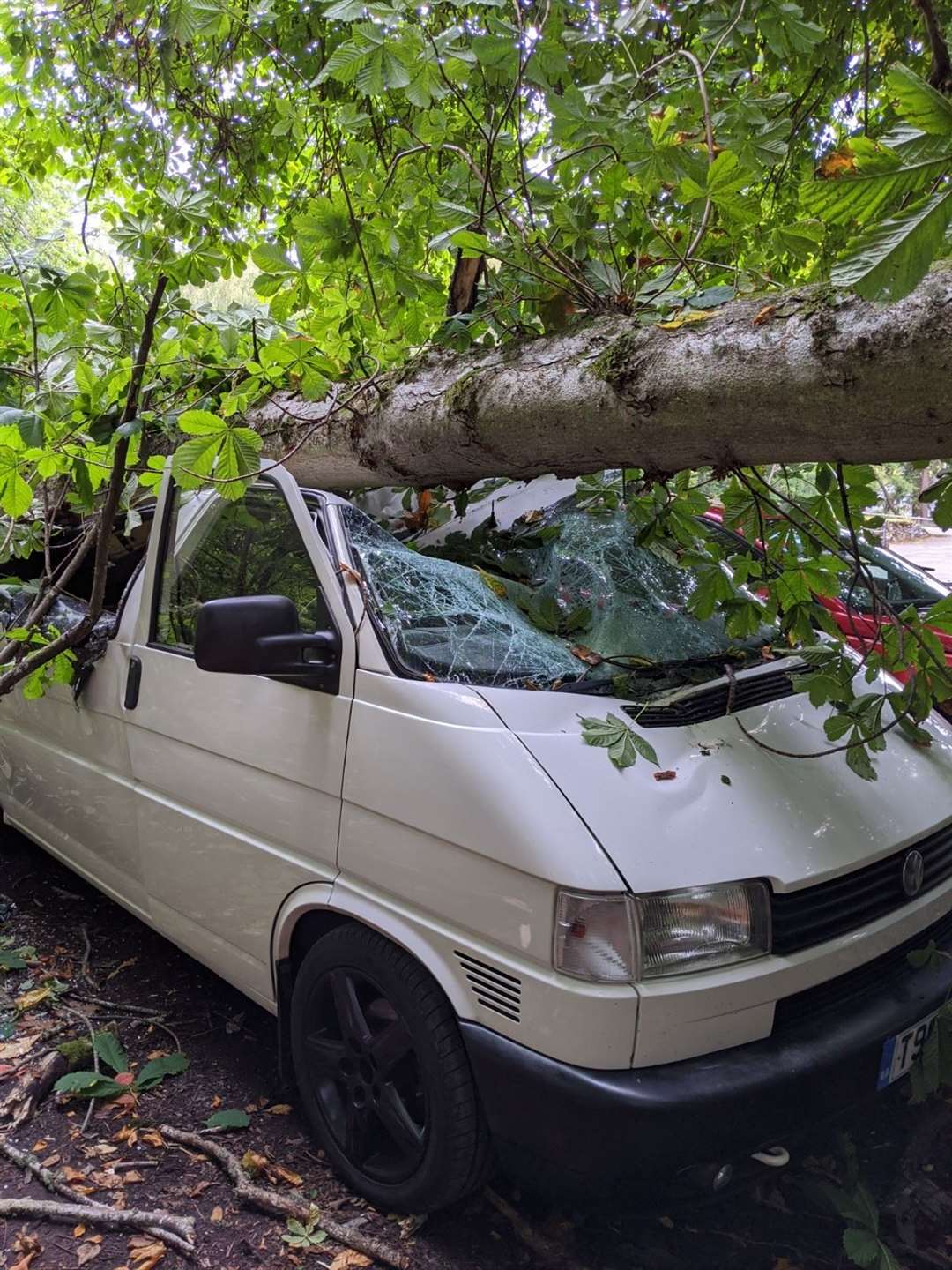 The Volkswagen campervan was extensively damaged after a heavy branch from a tree fell on it.