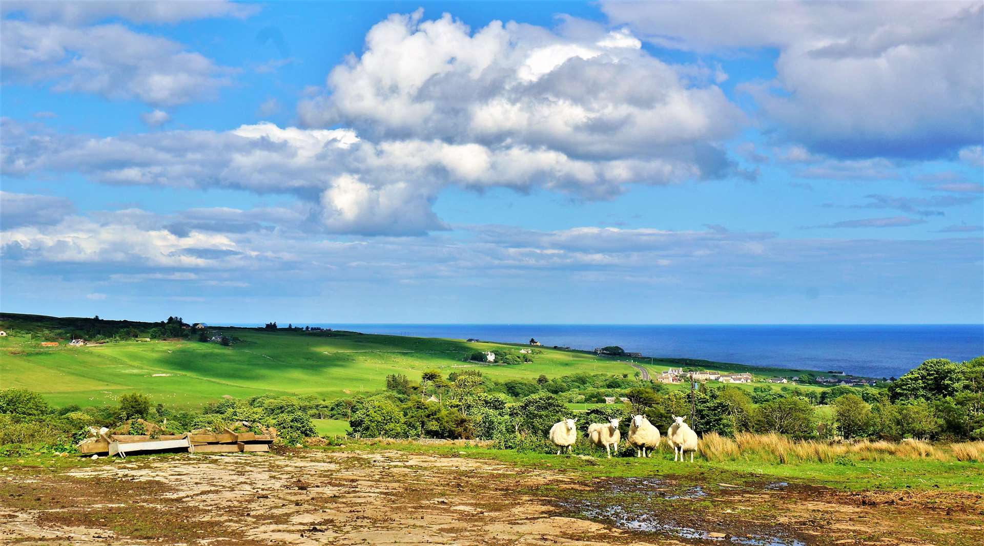 Landscape in Houstry area of Caithness. Picture: DGS