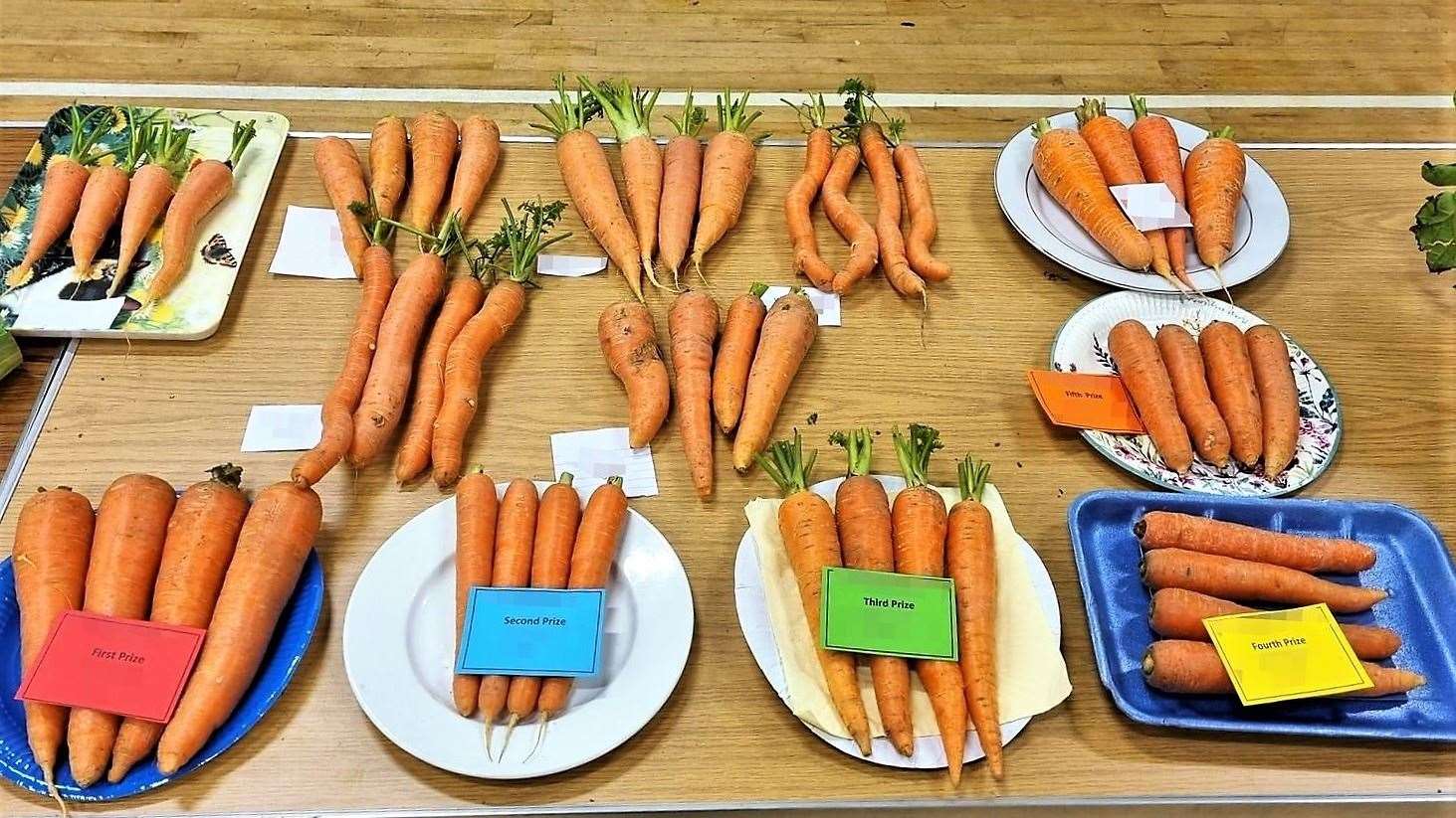 Carrots on display at a previous seed and root show.