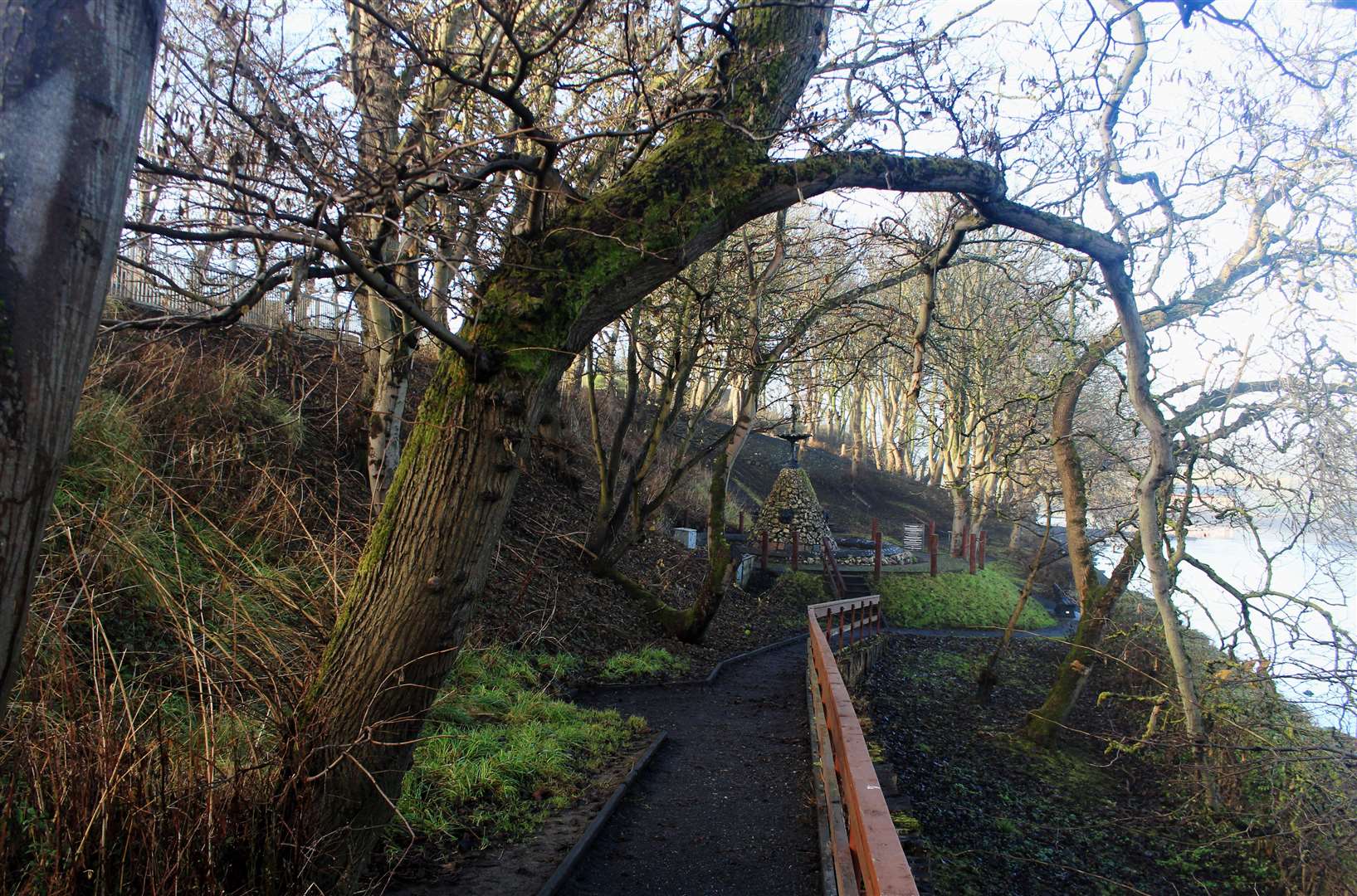 Long-established trees around the fountain area at Wick riverside.