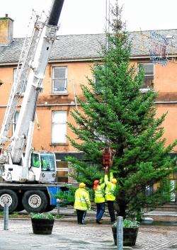 Council workers install Wick's Christmas tree - but will the town get one this year?