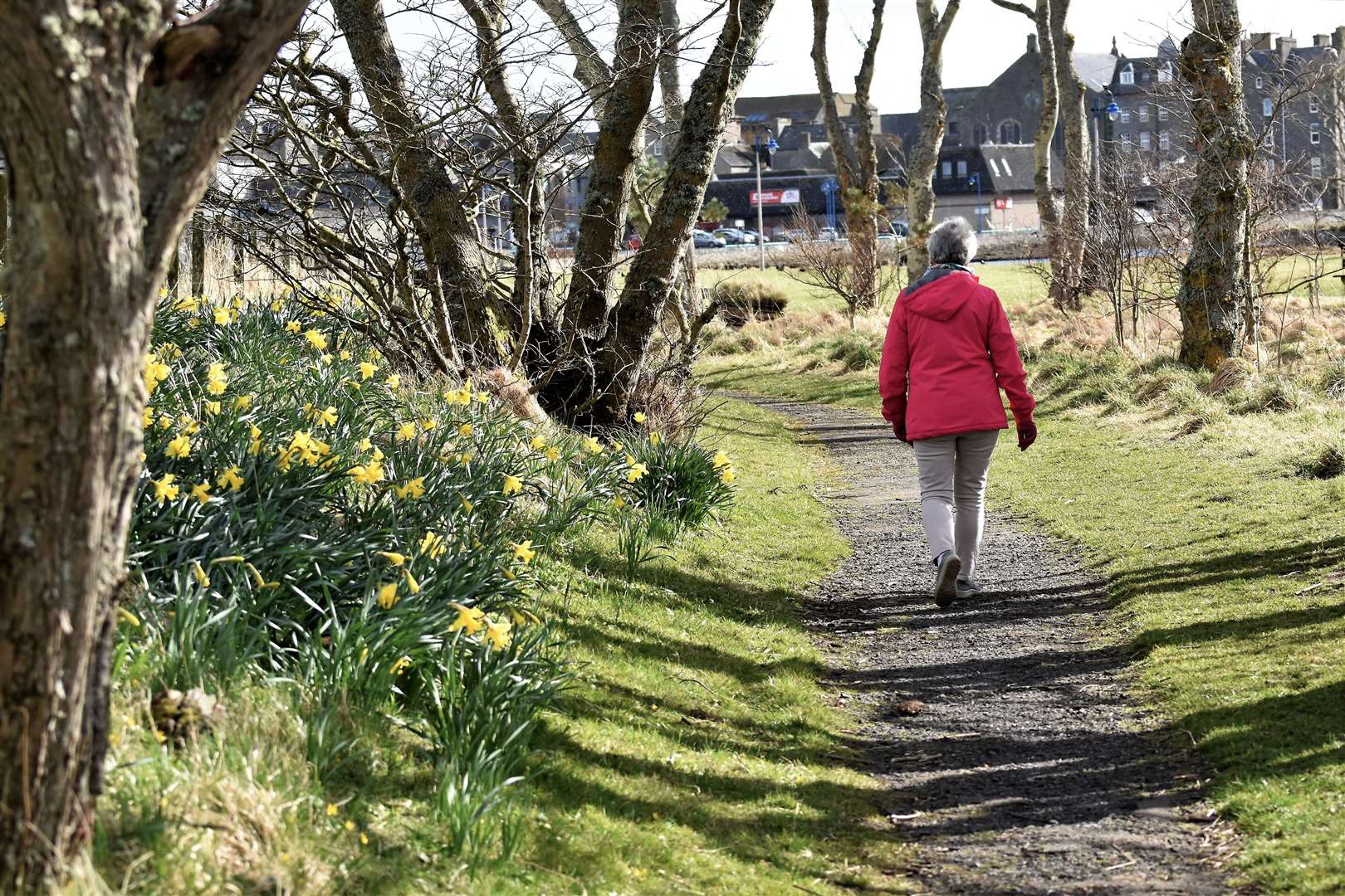 Spring walk near the entrance to the main Coghill Bridge, Wick. Picture: Noel Donaldson
