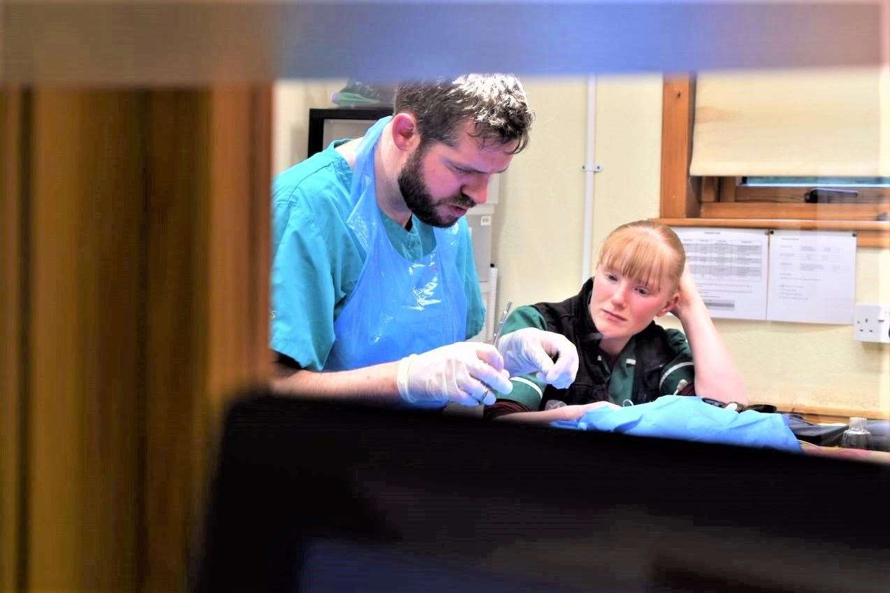 Praktikos direktorius Kenas Wilsonas kartu su veterinarijos slaugytoja Vicky Shearer atlieka operaciją.