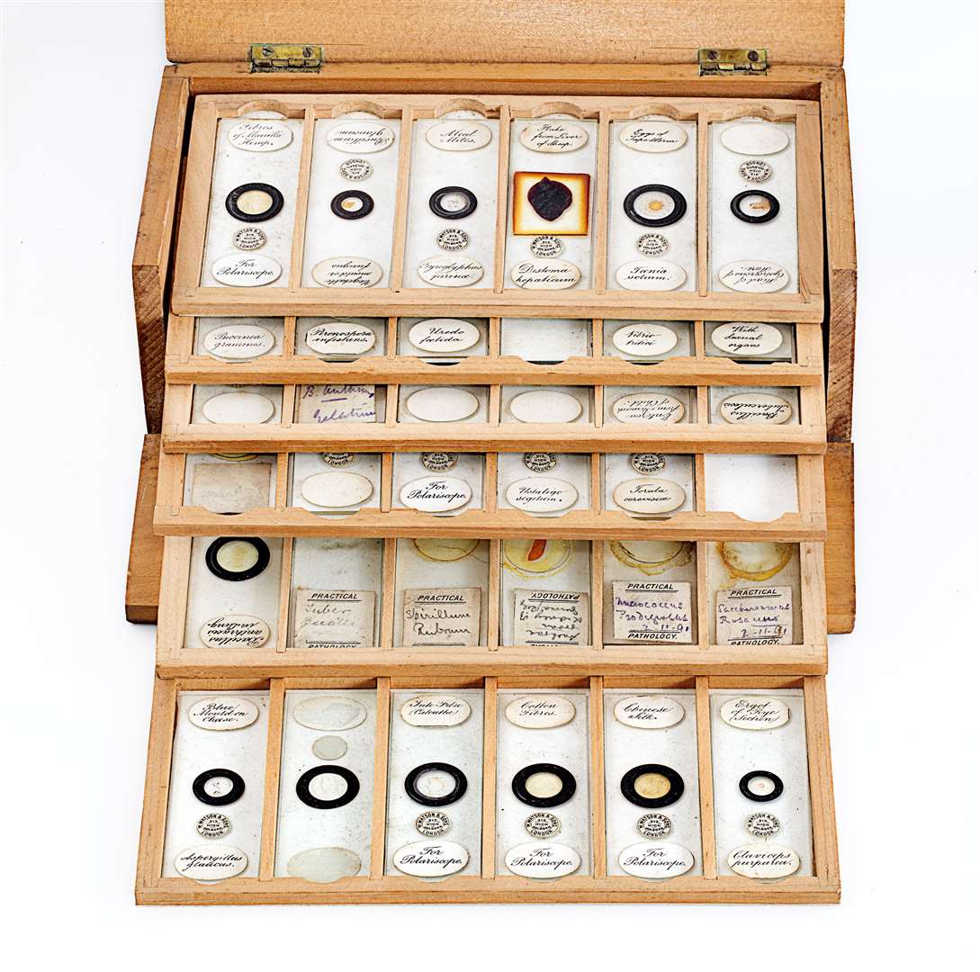 Dr John Alexander's box of medical specimen slides at Wick Heritage Museum. Picture: Fergus Mather
