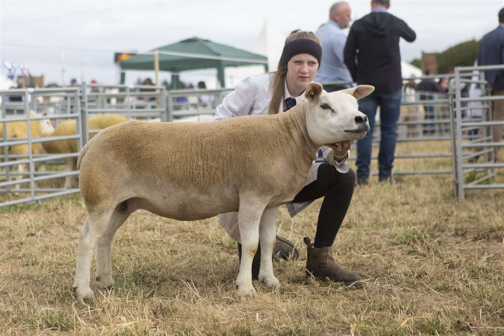Sophie Gunn with the Texel champion, a one-crop ewe by Procters Farm's Sportsmans Batman, from Angus Gunn, The Shiean, Hill of Forss. Picture: Robert MacDonald / Northern Studios