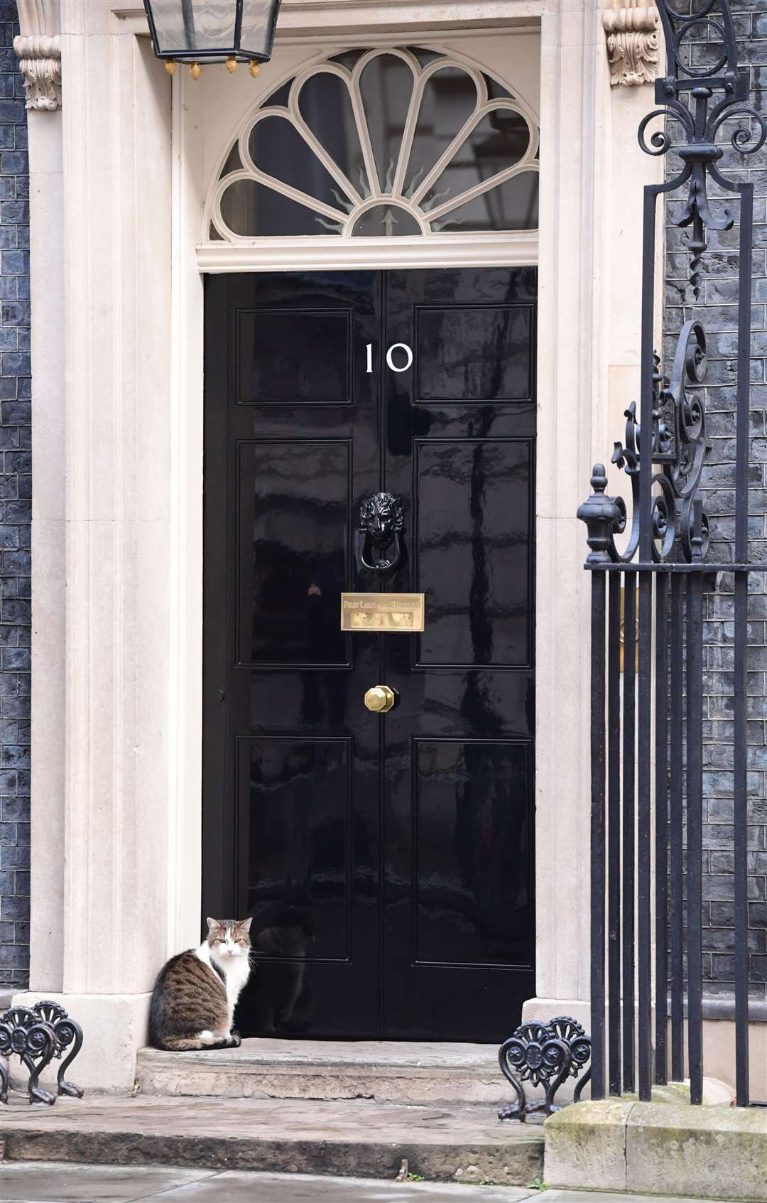 Larry the cat waits outside Number 10 Downing Street (Ian West/PA)