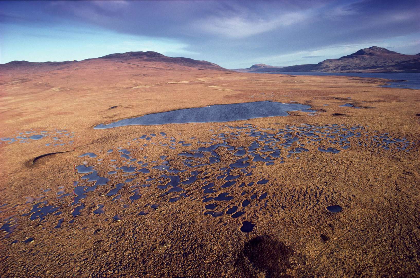 The Flow Country Partnership hopes to secure Unesco World Heritage Site status for the peatlands of Caithness and Sutherland. Picture: Lorne Gill / NatureScot