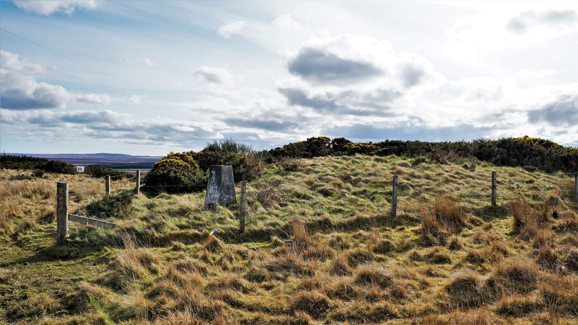 Gallows Hill walk, Backlass, Watten, Caithness, April 2. Note the rows or 'streets' of convective Cumulus mediocris, together with the fibrous appearance of the thickening veil of cirrostratus, composed of tiny ice crystals. Picture: DGS