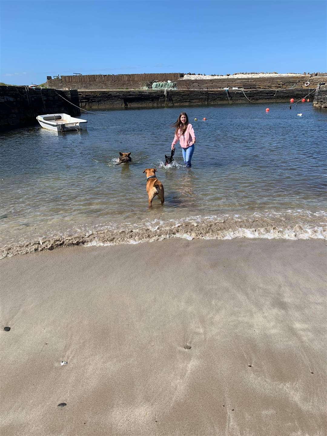 Uki with Lynn's 12-year-old daughter Katy in the water at the harbour in Castletown. This was her first time in the water and she was being taught recall on the long lead. Also in the picture are Odin and a terrier cross called Neep at the edge of the water.
