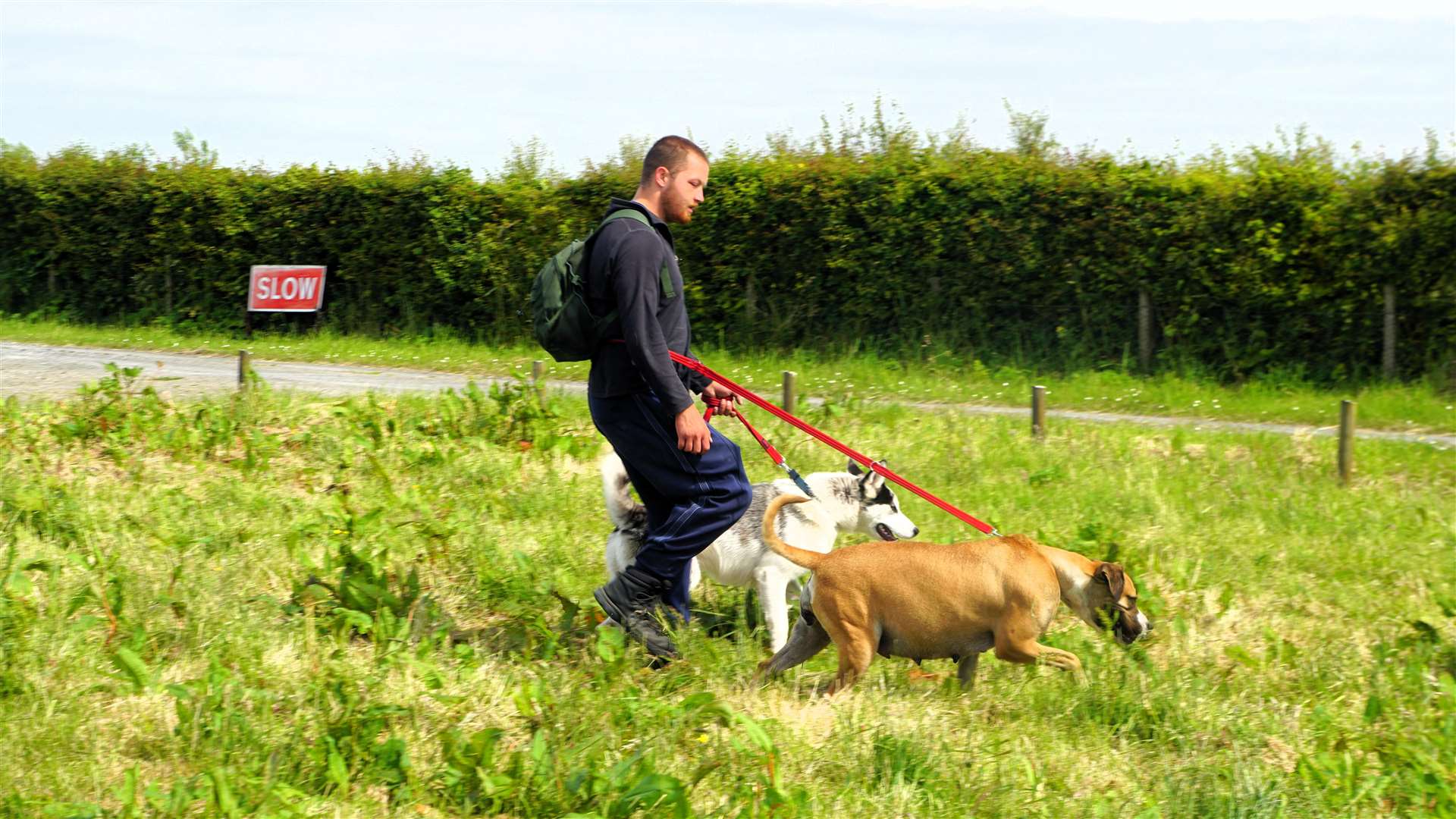 Jordan was walking the UK coast with the two dogs before having to make an abrupt stop at Wick when one became pregnant. Picture: DGS