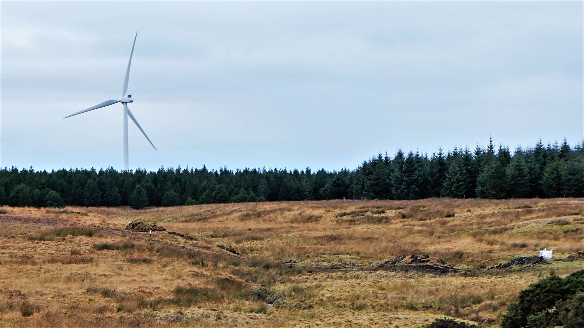 The proposed site of the Watten wind farm with a Halsary turbine visible in the background. Picture: DGS