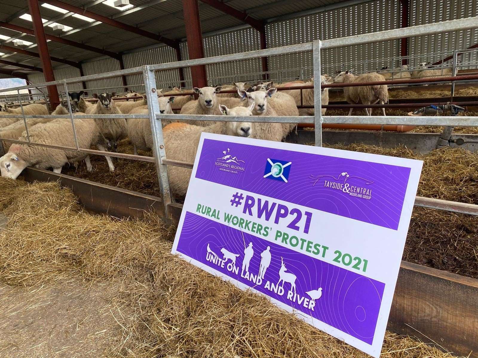 An official Rural Workers’ Protest banner pictured on a farm in Highland Perthshire.