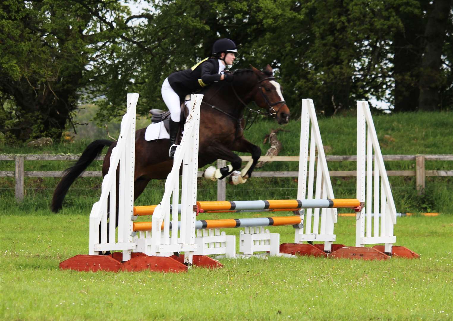 Emma Mackay and Laucors Boadicea on their way to securing a clear round in the showjumping for the BE(80) regional final section at Scotsburn.
