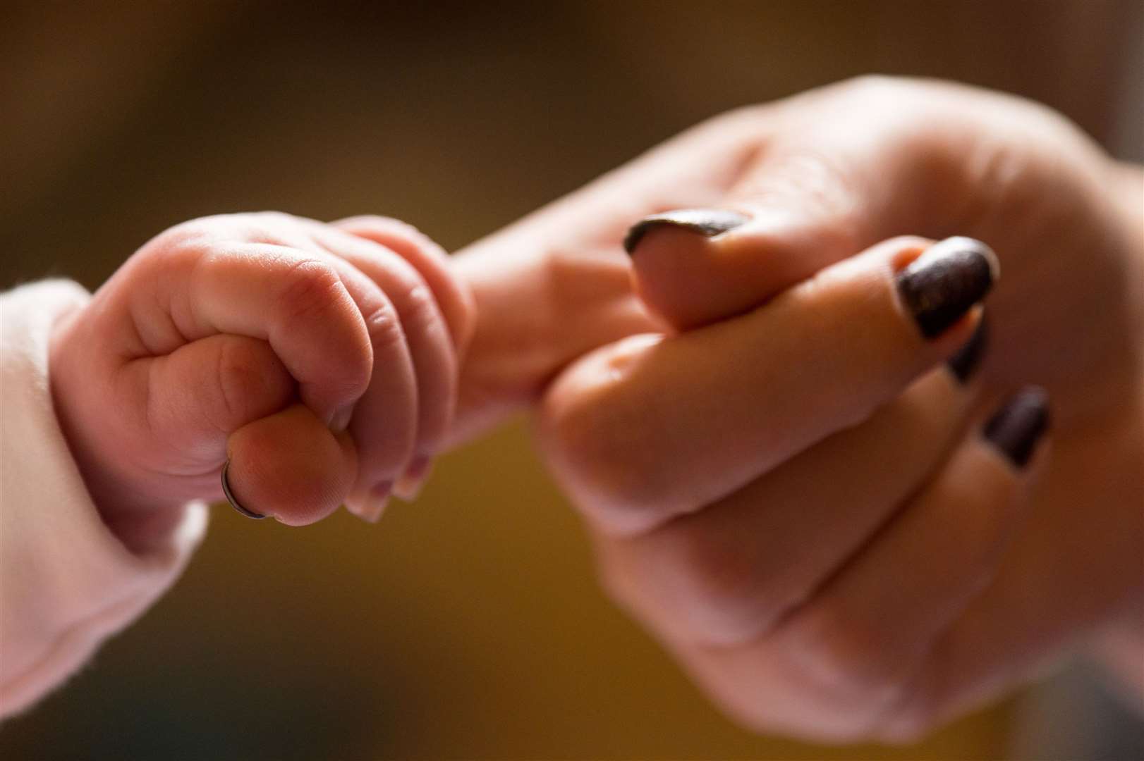 A new baby holds the finger of its mother. Stock Image