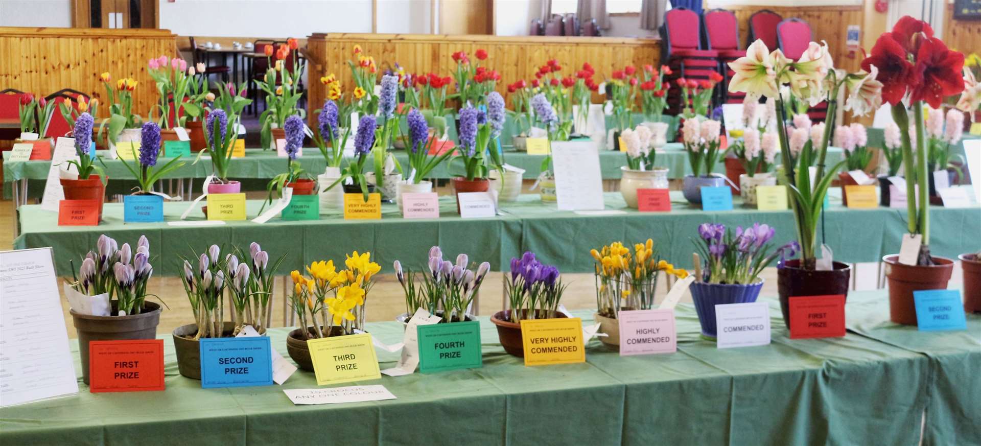 Some of the beautiful blooms at the West of Caithness SWI Bulb Show in Thurso. Picture: Eswyl Fell