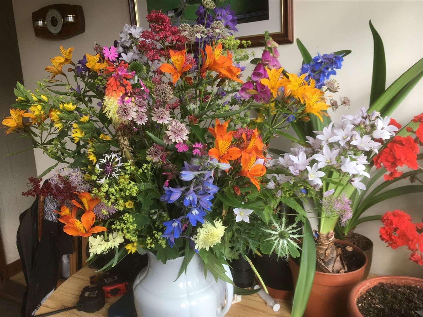 A popular entry in the class for a container of mixed herbaceous flowers skillfully arranged by Anne Gunn.