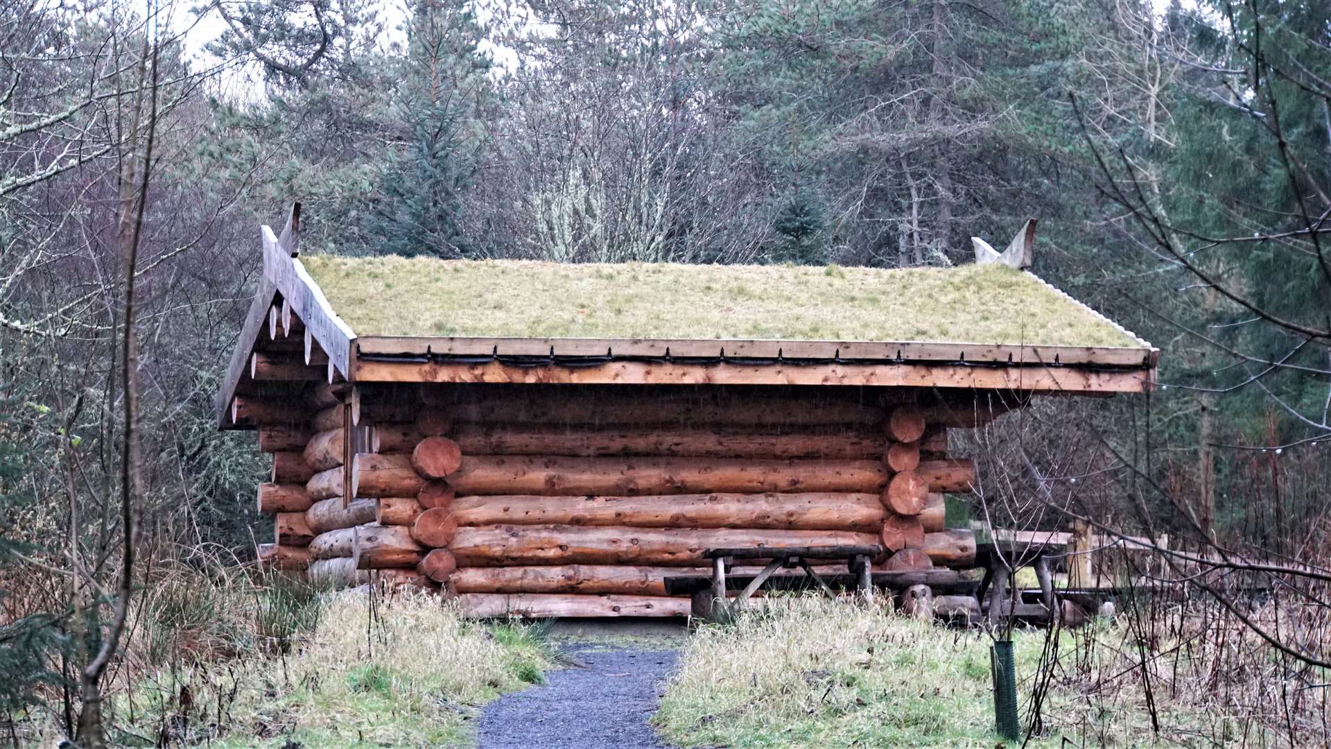 Log cabin in Dunnet Forest. Picture: DGS