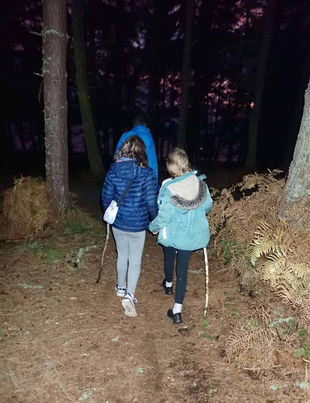 Heading out of the woods in the near darkness.