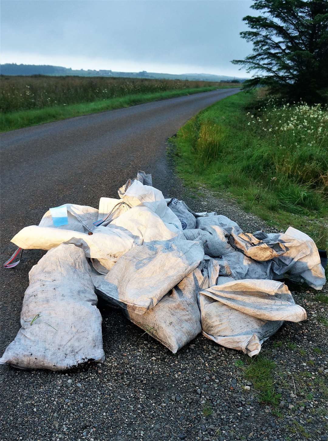 A large amount of garden refuse has been dumped by the roadside in Tannach. Pictures: DGS