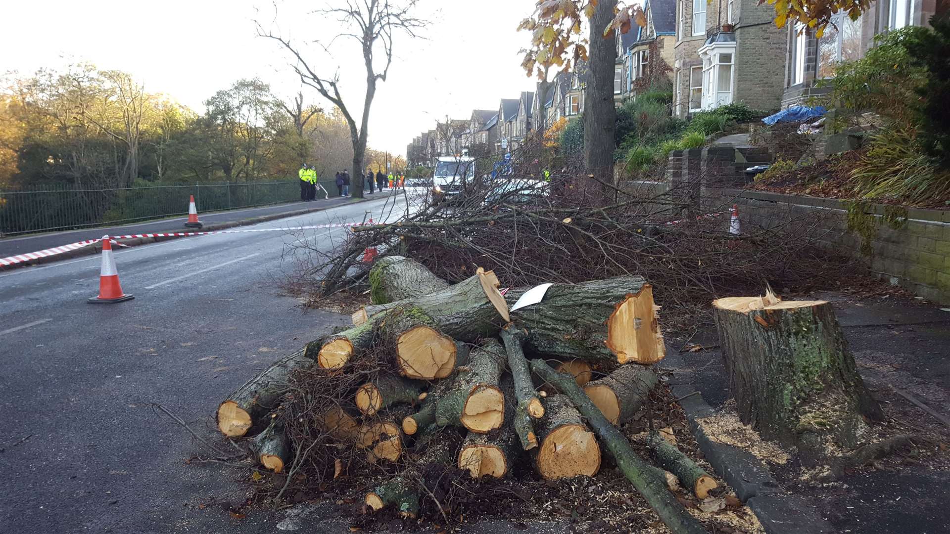 Tree trunks and branches lie on the ground in Rustlings Road, Sheffield, which was the scene of protests against tree felling (Dave Higgens/PA)