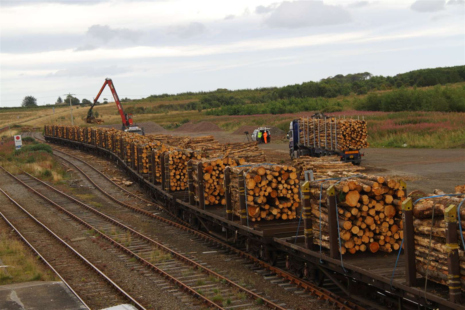 A timber freight trail is loaded and prepared to leave Georgemas Junction.