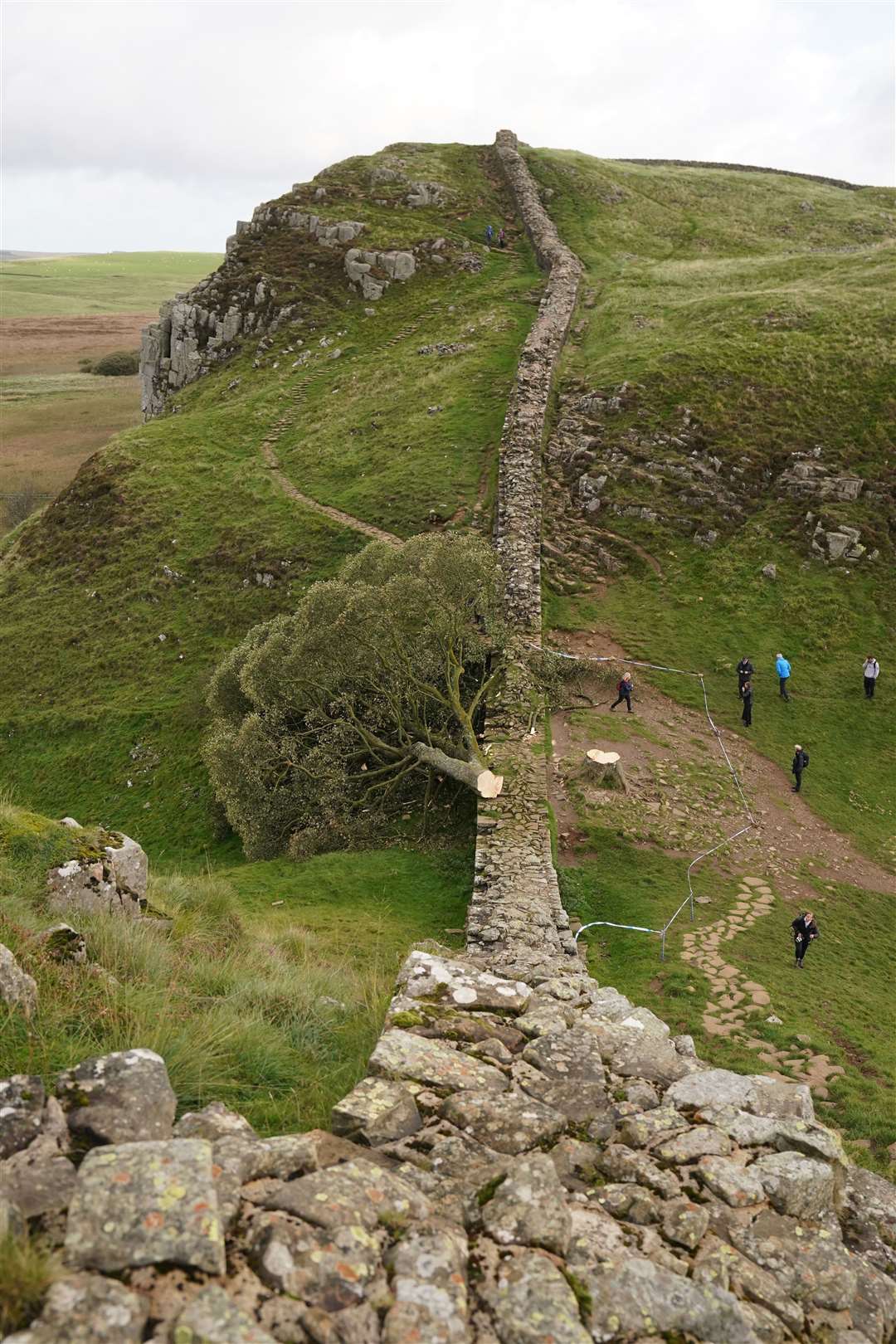 Daniel Graham and Adam Carruthers have gone on trial accused of causing criminal damage to the tree and nearby Hadrian’s Wall (Owen Humphreys/PA)
