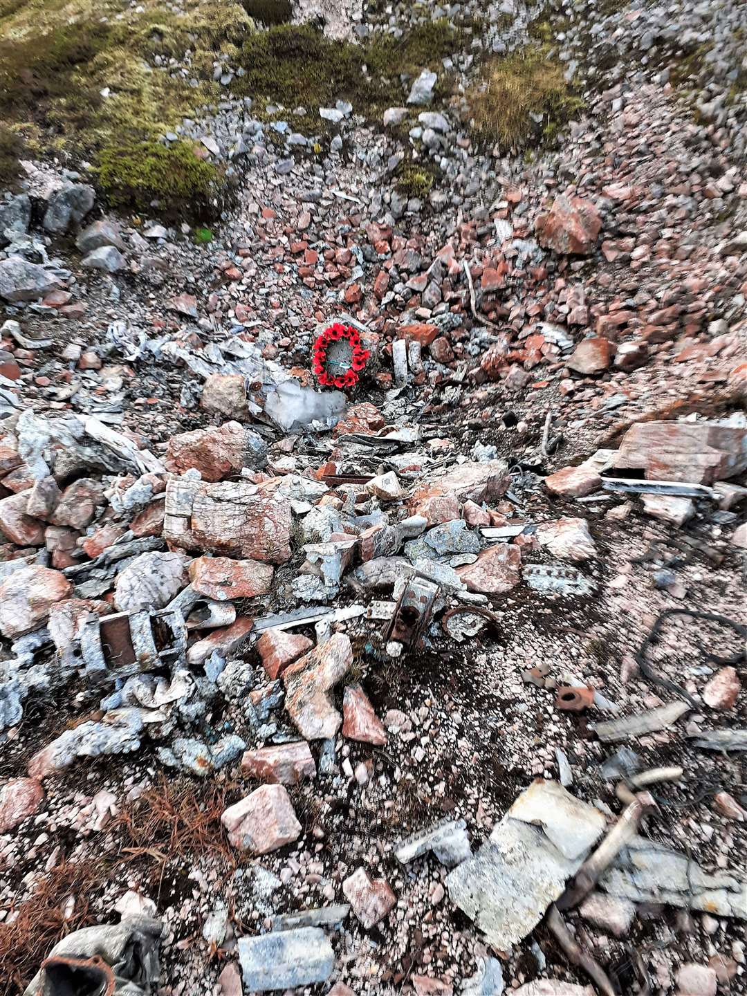 Poppies at the site where the World War Two crash occurred in 1941. The Whitley bomber was carrying a mine when it crashed and exploded leaving a crater in the ground. Six crew were killed.