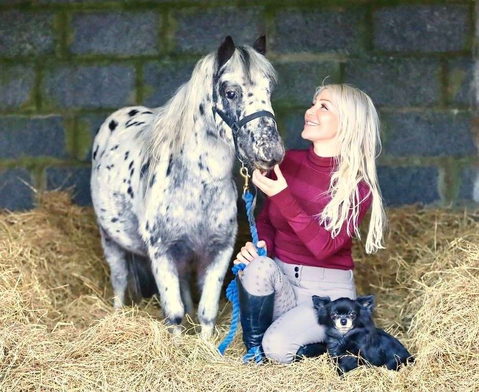 Therapy pony Mr Bojangles with Natalie Oag and Louis the Chihuahua.